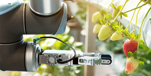 Digital Horticulture