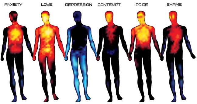 Emotions Network