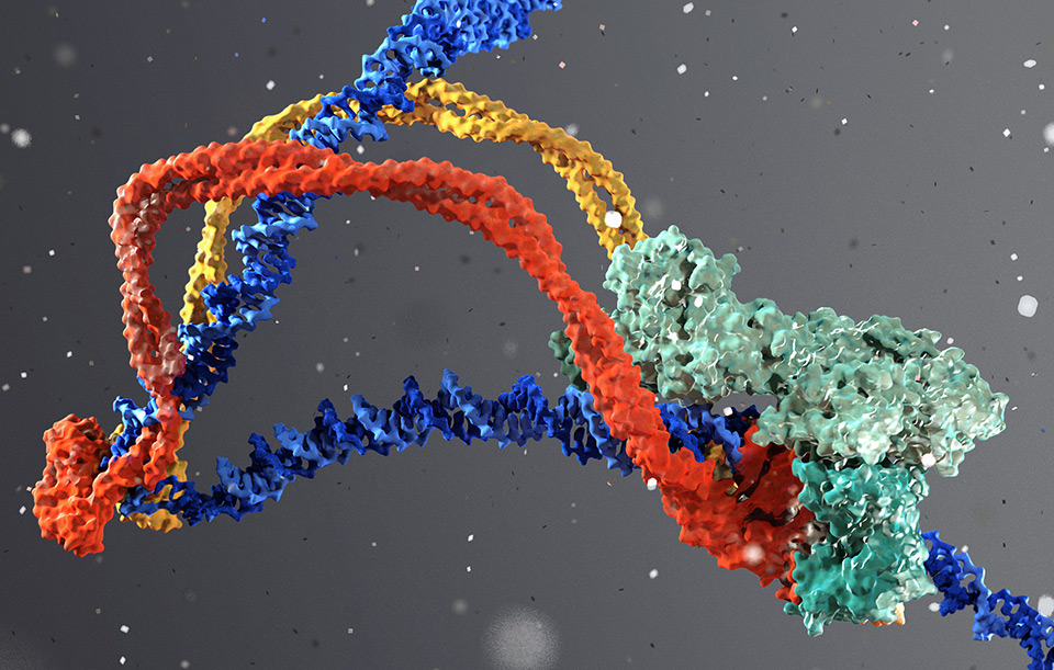 Epi-Genetics