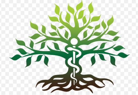 Longevity Medicine