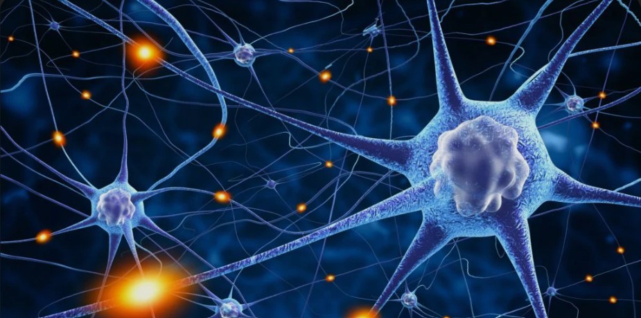 Neuro-Transmitters