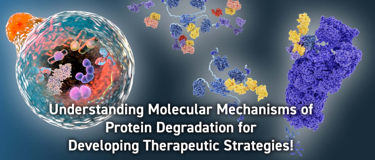 Protein Metabolism