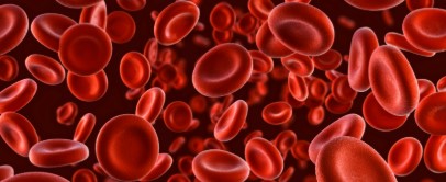 Red blood cells